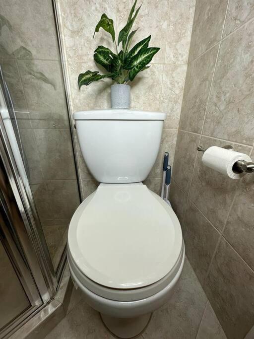 Sleeps 3, Casa Tropical In Miami Lägenhet Exteriör bild