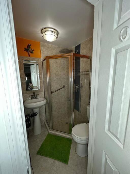 Sleeps 3, Casa Tropical In Miami Lägenhet Exteriör bild