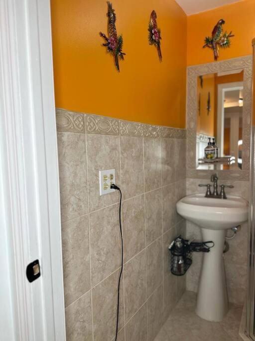Sleeps 3, Casa Tropical In Miami Lägenhet Exteriör bild